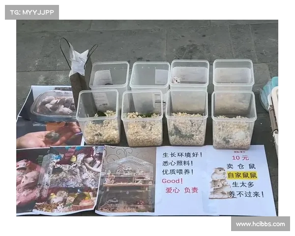 《崽卖爷田不心疼背后的文化隐喻:亲情与金钱的博弈》(卖崽崽号) 《崽卖爷田不心疼背后的文化隐喻:亲情与金钱的博弈》(卖崽崽号)